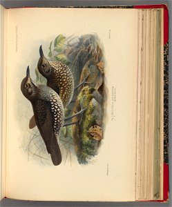 n402_w1150
