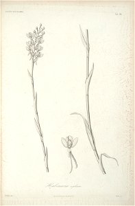 n119_w1150