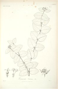 n104_w1150