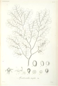 n59_w1150