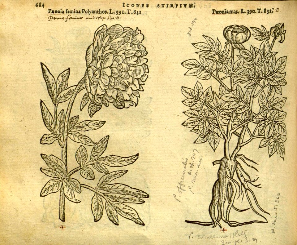 n690_w1150