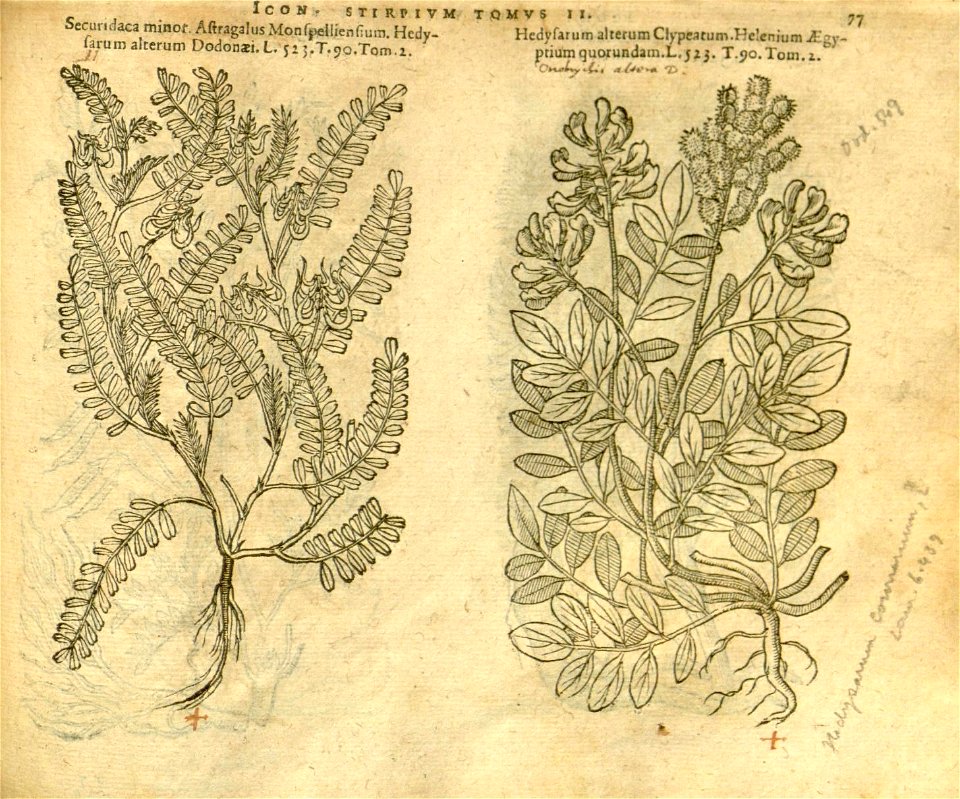 n899_w1150