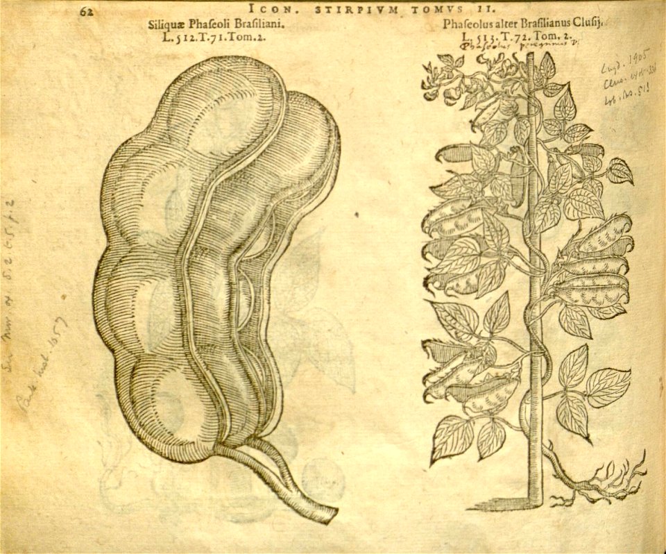 n884_w1150