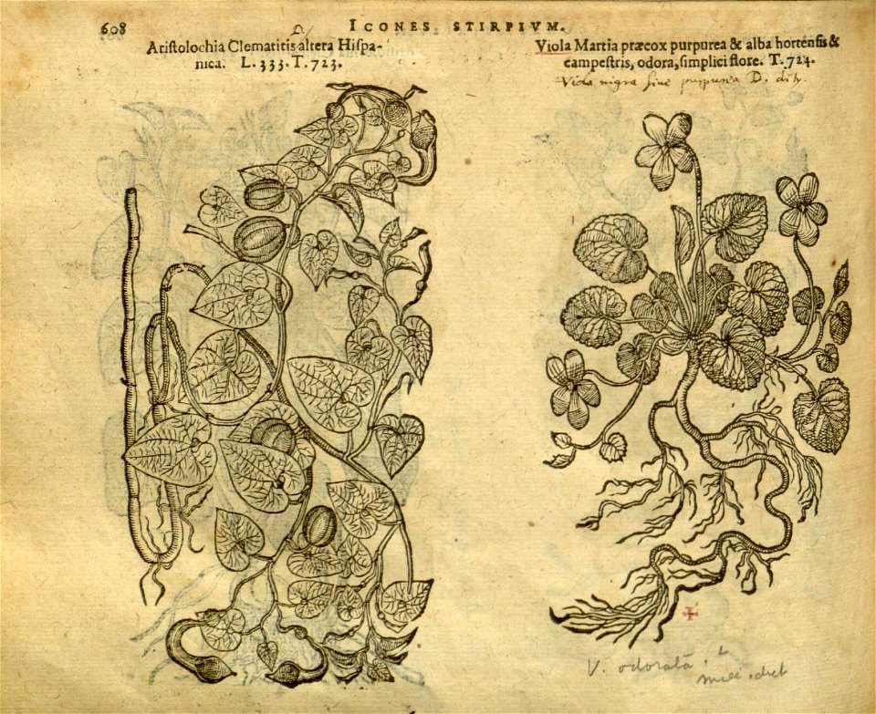 n614_w1150