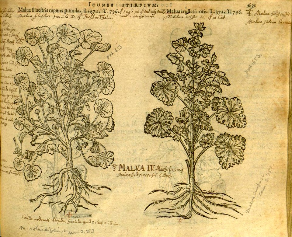 n657_w1150