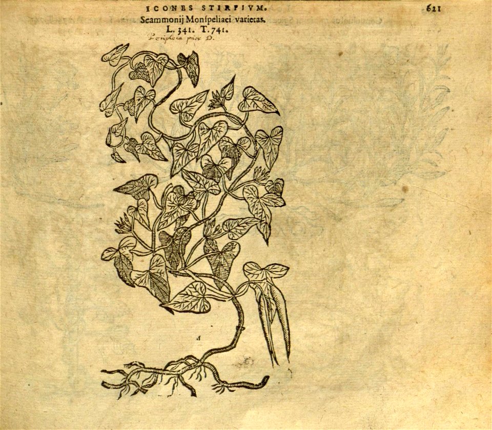 n627_w1150