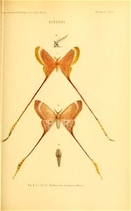 n172_w1150