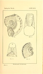 n160_w1150