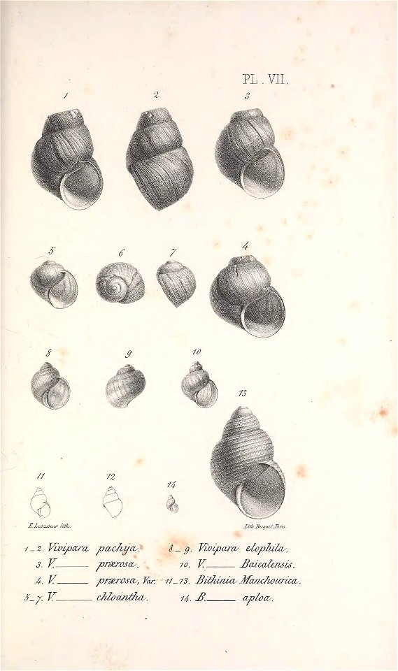 n324_w1150