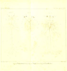 n384_w1150