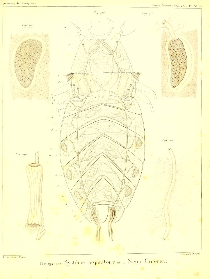 n382_w1150