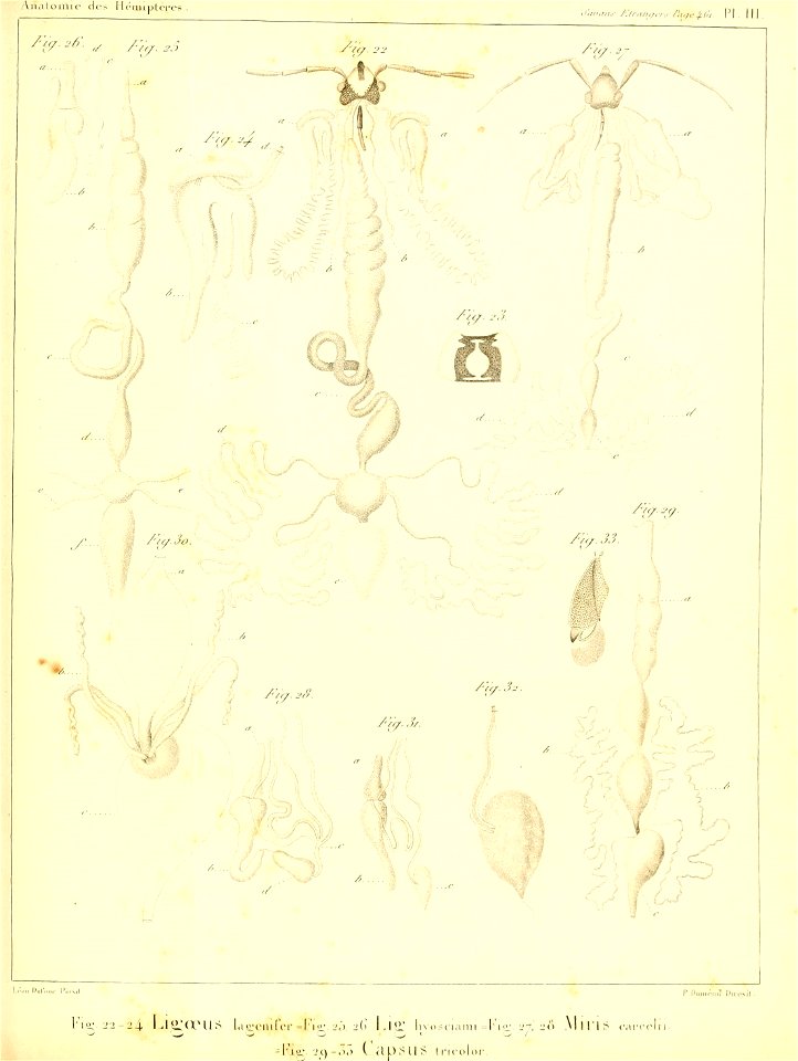 n352_w1150