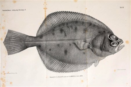n208_w1150