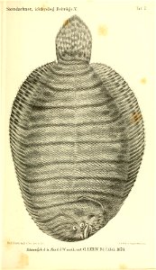 n204_w1150