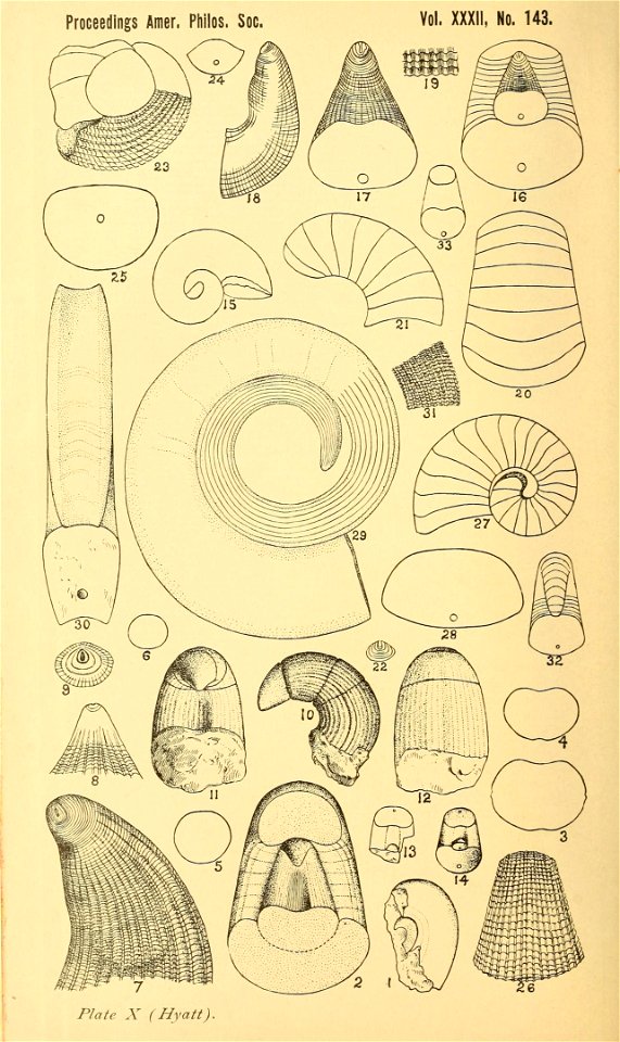 n329_w1150