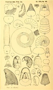 n329_w1150