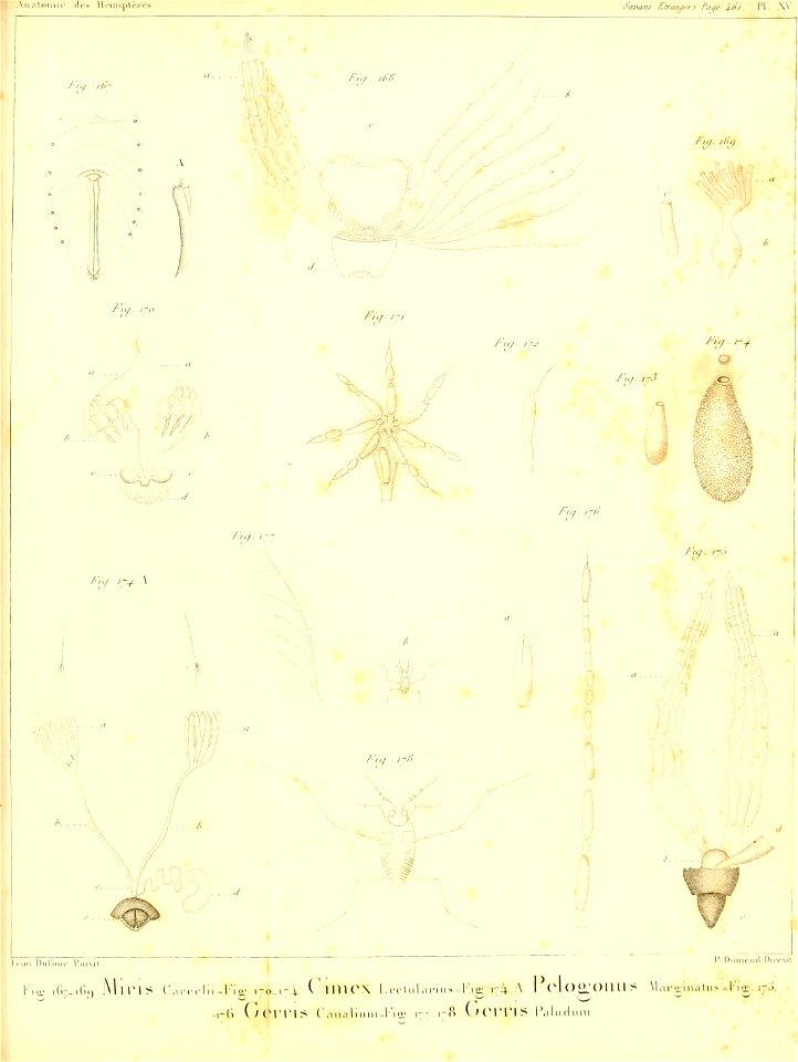 n376_w1150