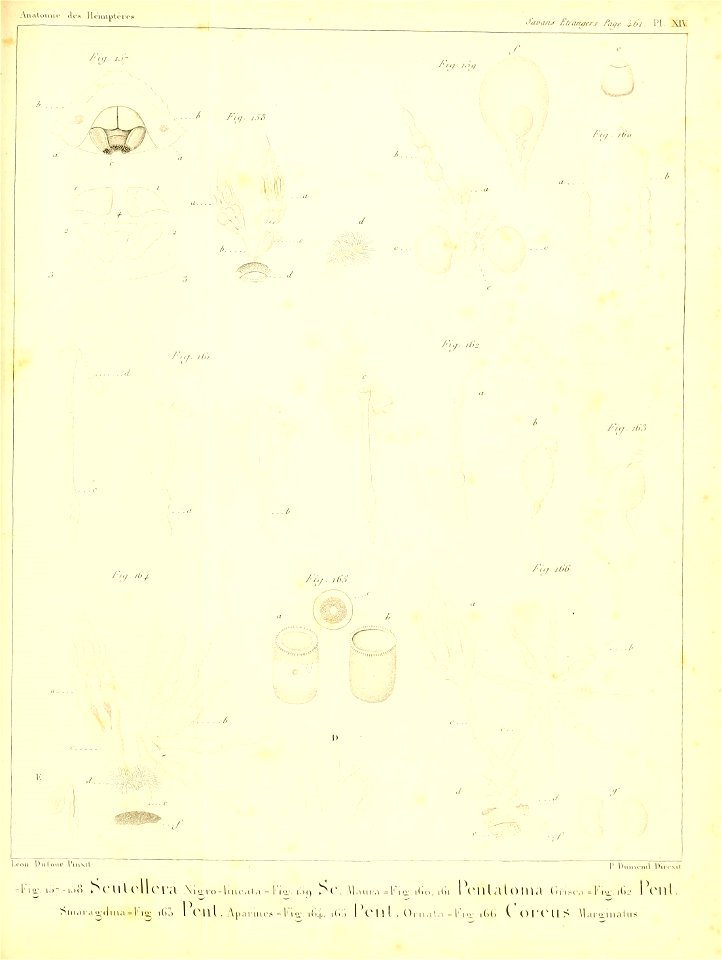 n374_w1150