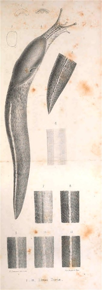 n344_w1150