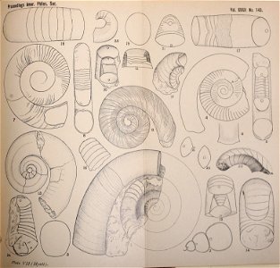 n314_w1150