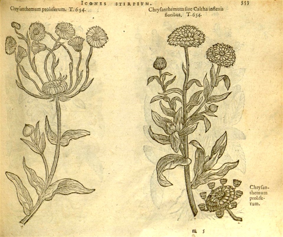 n559_w1150