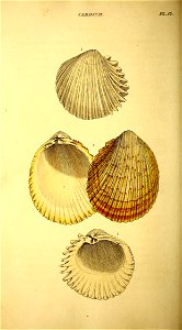 n409_w1150