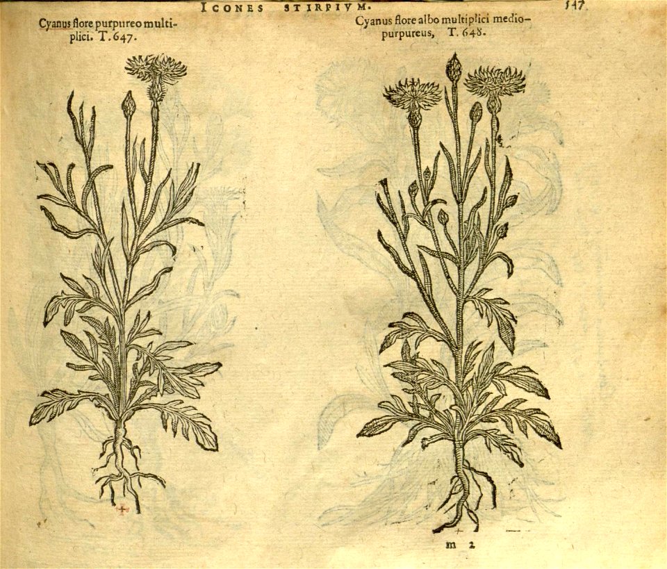 n553_w1150