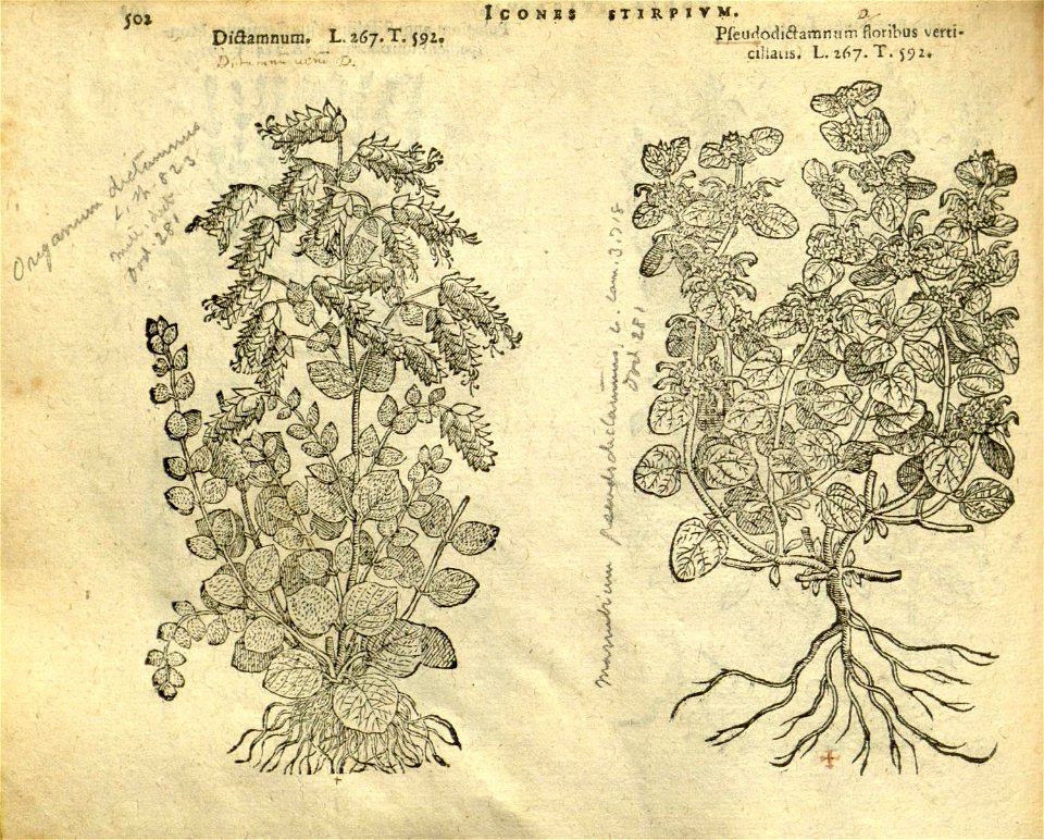 n508_w1150