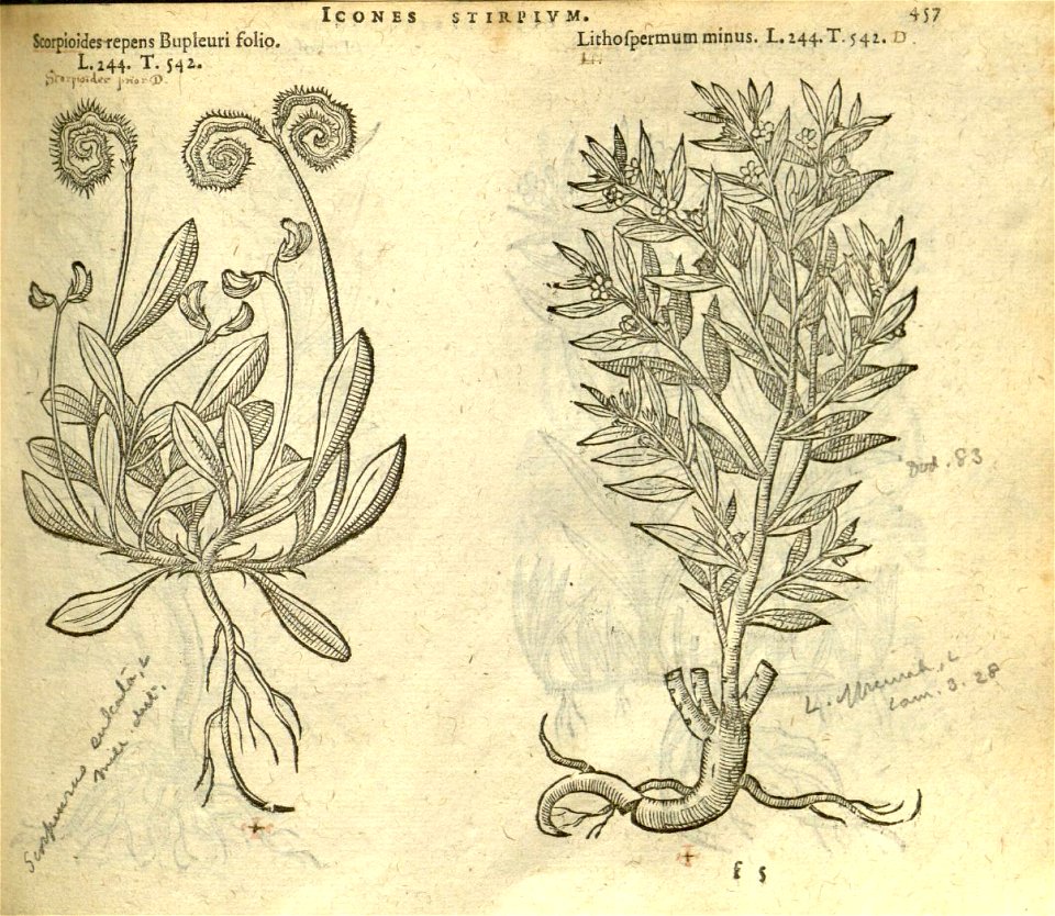 n463_w1150