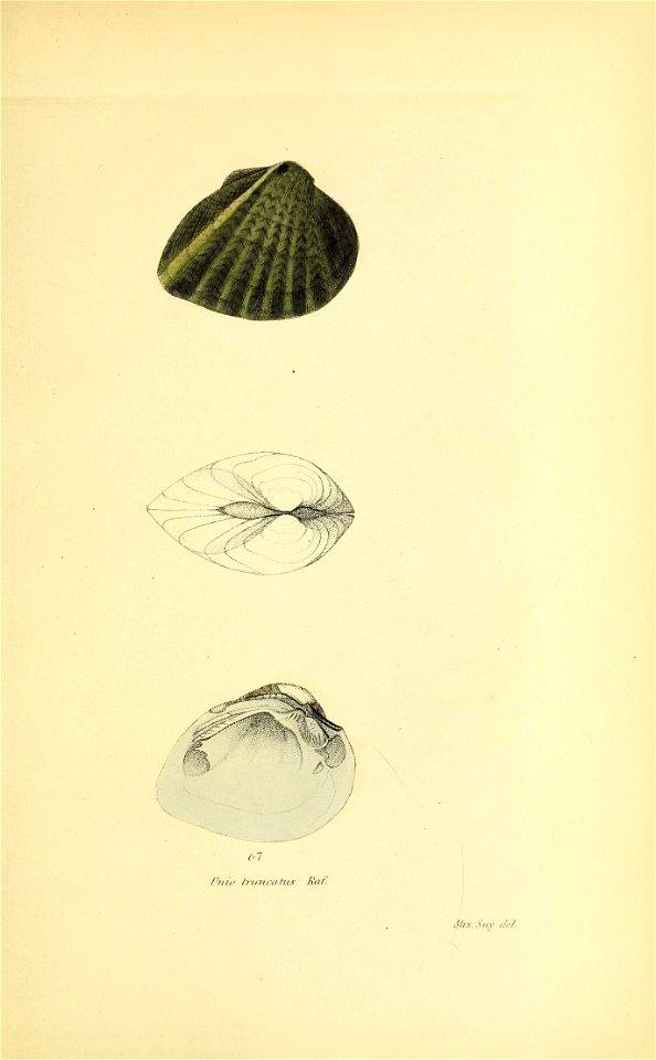 n402_w1150