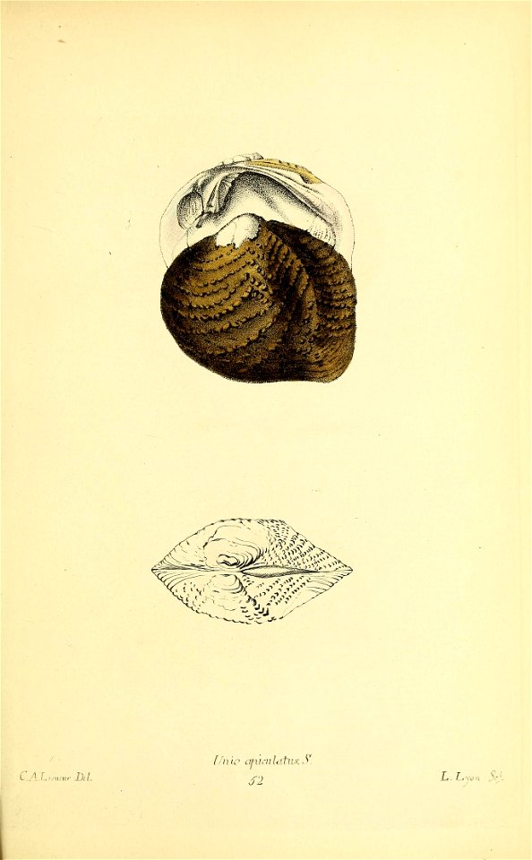 n372_w1150