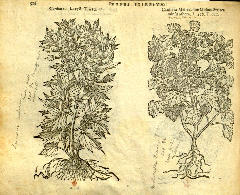 n522_w1150