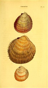 n402_w1150