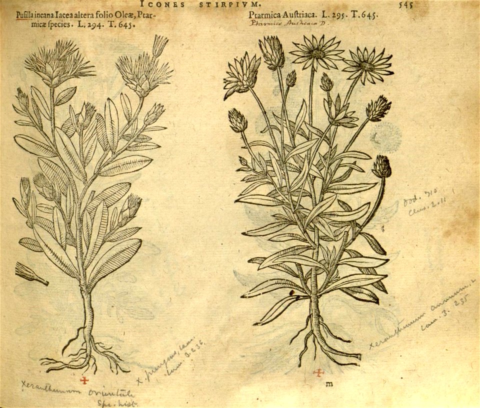 n551_w1150