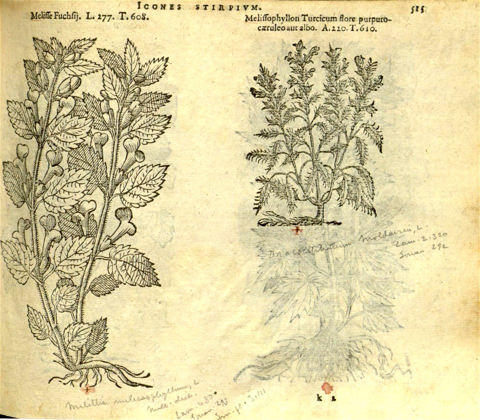 n521_w1150