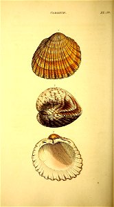 n393_w1150