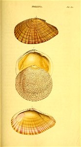 n294_w1150
