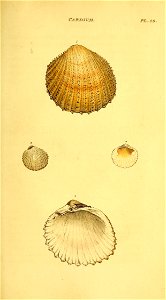 n390_w1150