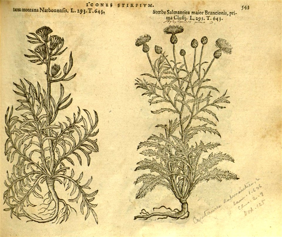 n549_w1150
