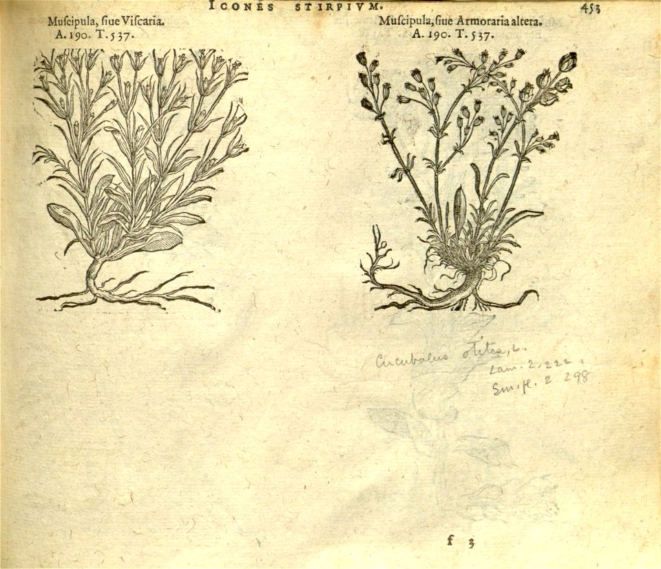 n459_w1150