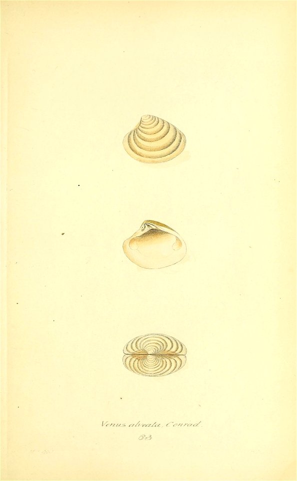 n394_w1150