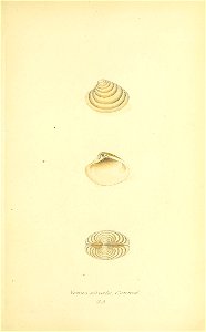 n394_w1150