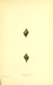 n364_w1150