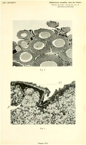 n186_w1150