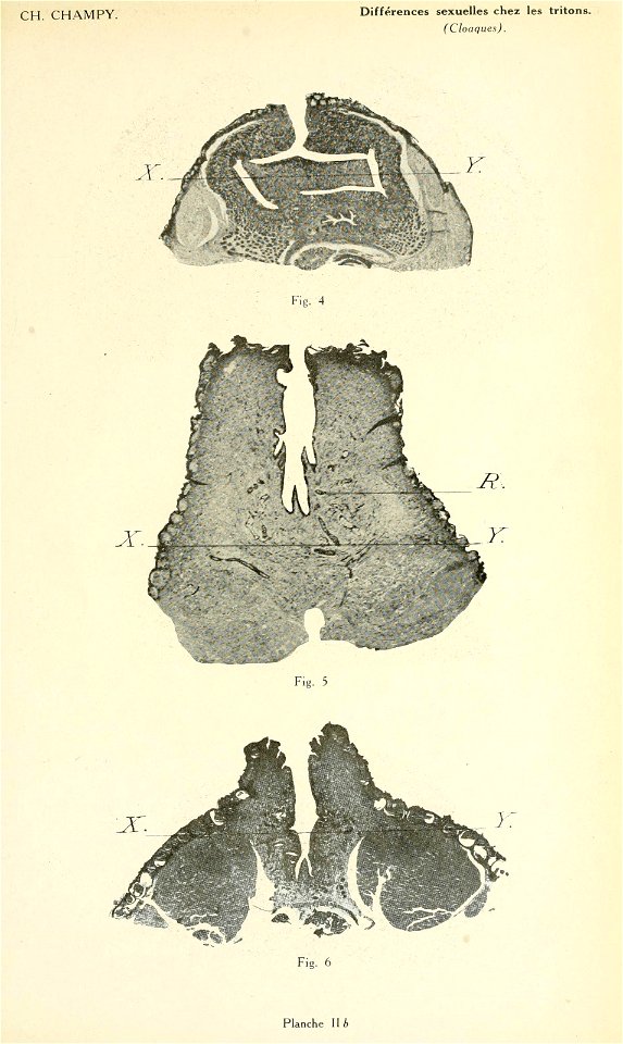 n182_w1150