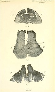 n182_w1150