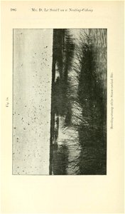 n237_w1150