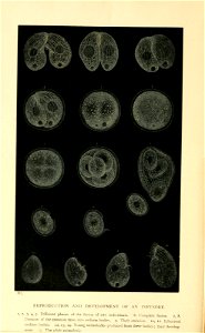 n77_w1150
