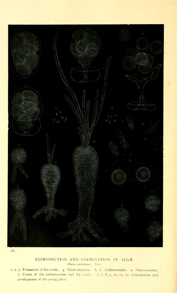 n67_w1150