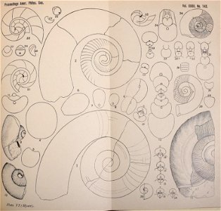 n308_w1150